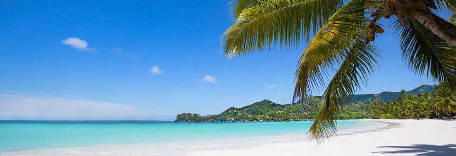 dwivedi slider image-1